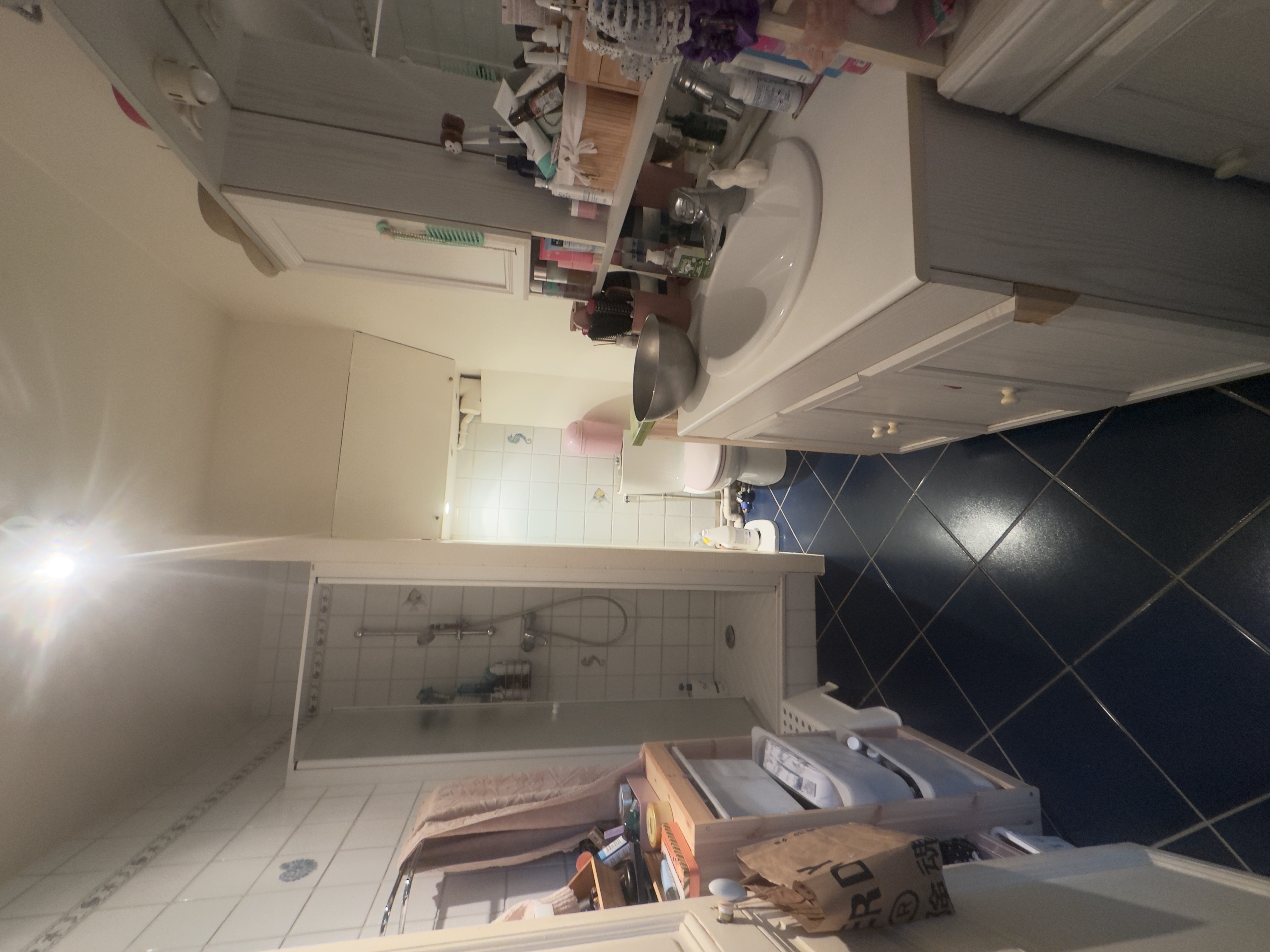 Salle de Bain 1 Avant